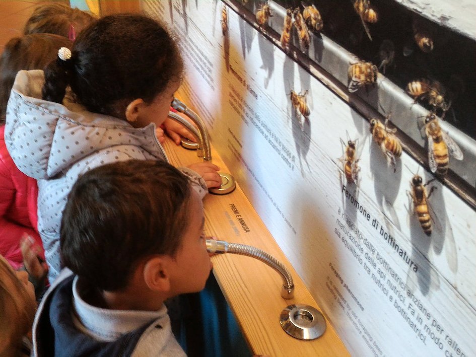 Laboratorio bambini
